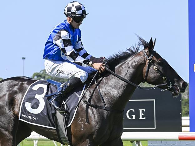 The Peter Snowden-trained Written Scandal looks well-placed at Kembla Grange on Tuesday. Picture: Bradley Photos