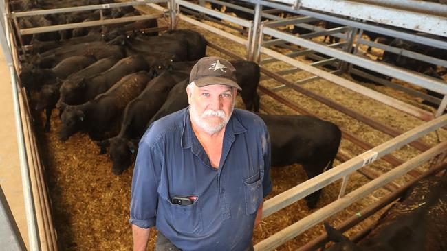 James Comfort, from Kyneton, selling 50 Angus weaners at the Wodonga weaner sales. Picture: Fiona Myers