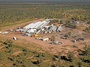 Land clearing and surveying is underway at Adani's Carmichael Mine site after last week's green light came through for the mega mine. Picture: Contributed