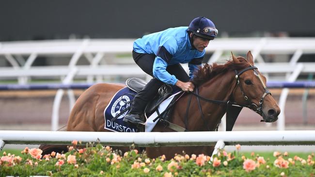 Damien Oliver riding Durston during the Breakfast With The Stars Trackwork Session at Flemington Racecourse on October 25, 2022 in Melbourne, Australia. (Photo by Vince Caligiuri/Getty Images)