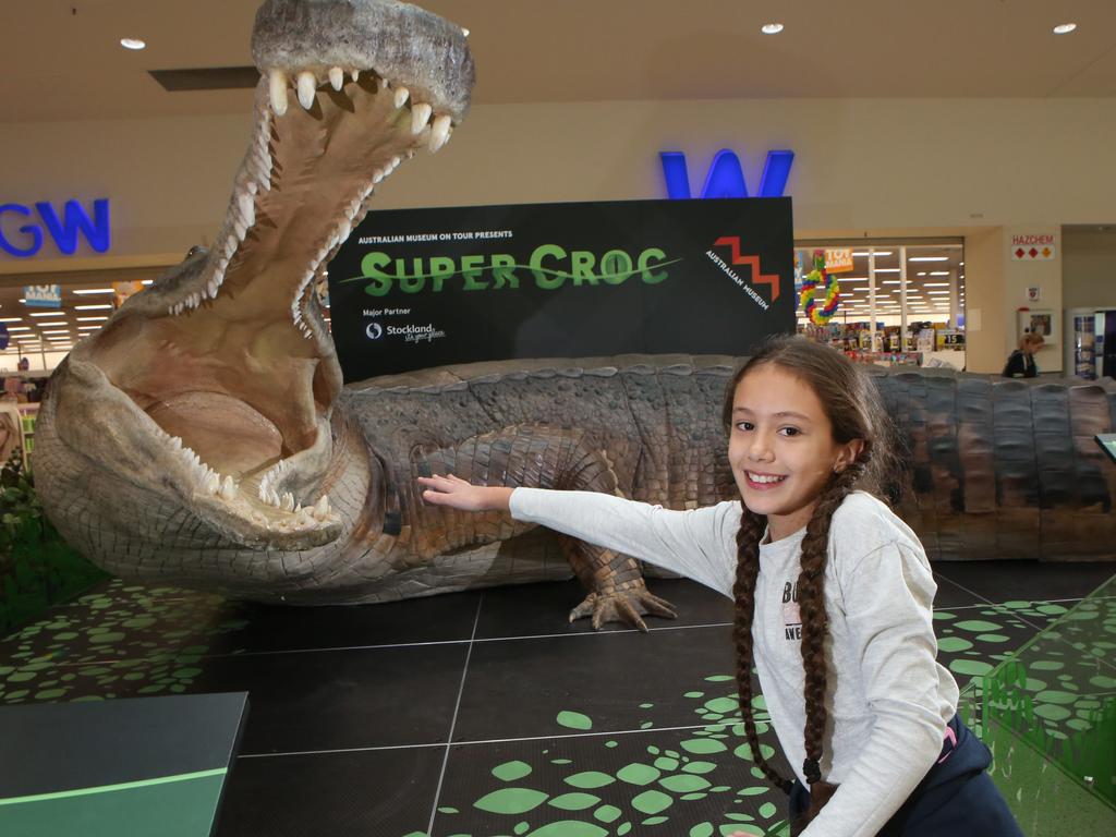 SuperCroc a monster hit at Wetherill Park | Daily Telegraph