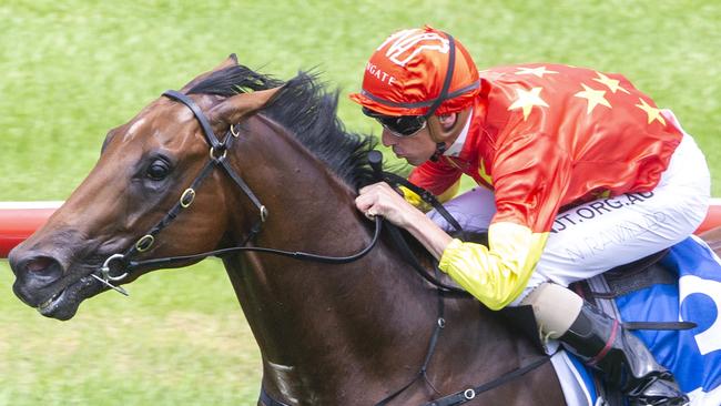 Rulership is on track for the Blue Diamond Stakes. Picture: Getty Images