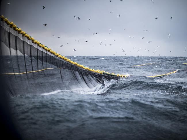 Trawl industrial fishing net oceans