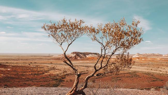 The harsh landscape of the Coober Pedy region.