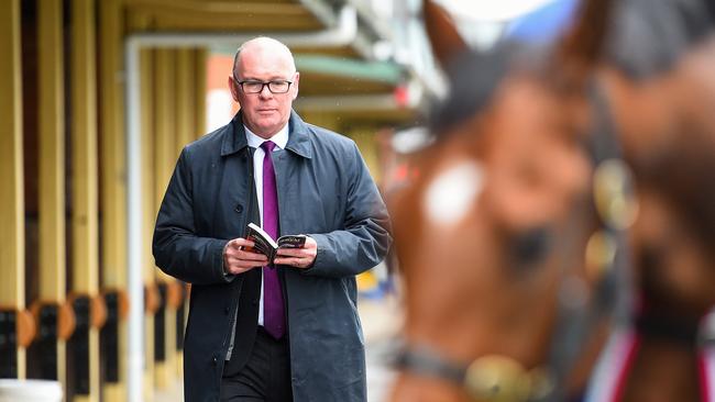 Racing Victoria integrity boss Jamie Stier wants to see more investment in science and research to help racing deliver its welfare message. Picture: Pat Scala/Racing Photos