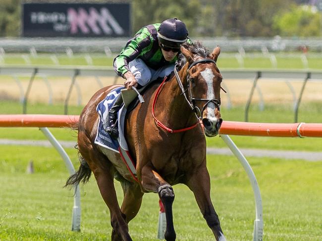 En Francais travels across the border for the Ballarat Cup. Picture: Makoto Kaneko / The RIsing Sun Photography