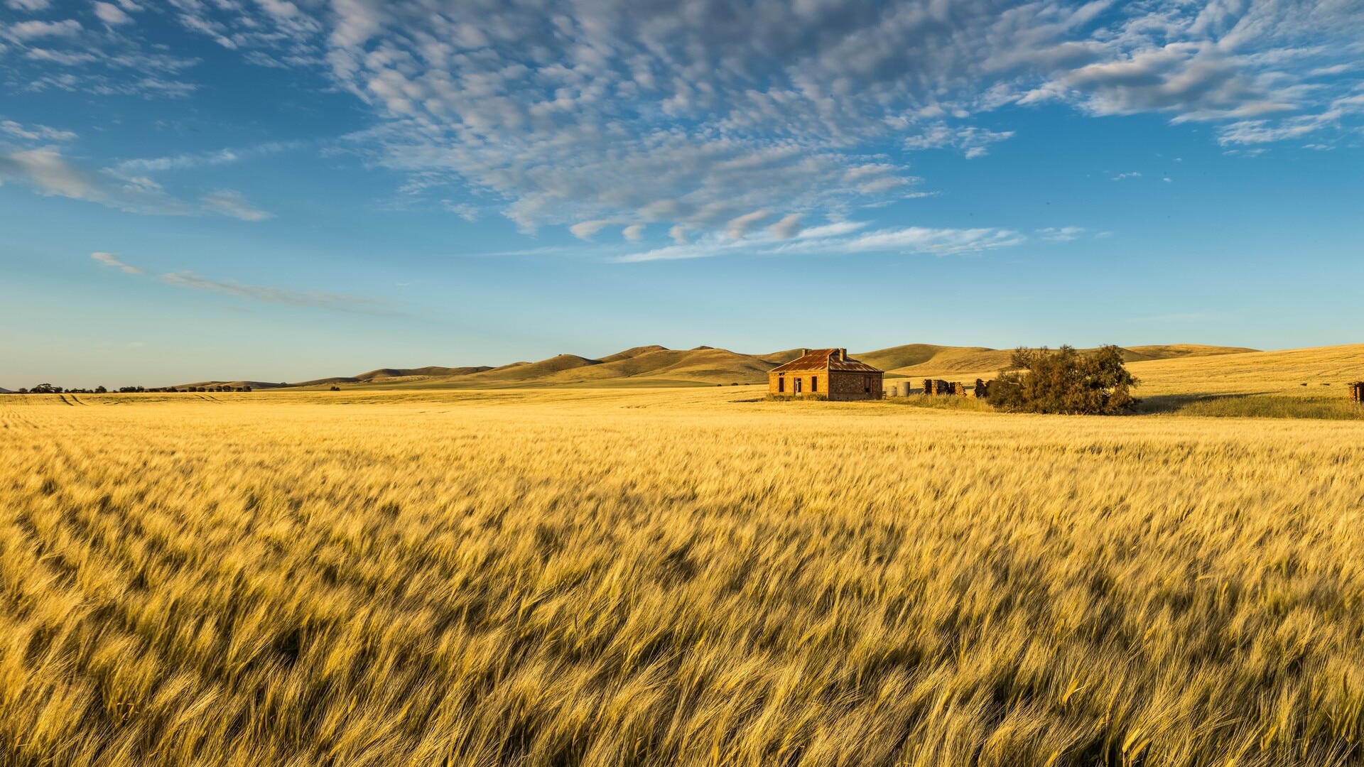 Super tax could force farmers to sell their land