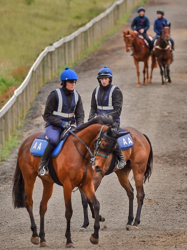 Early-morning ride on the hill track. Photo: Tony Gough