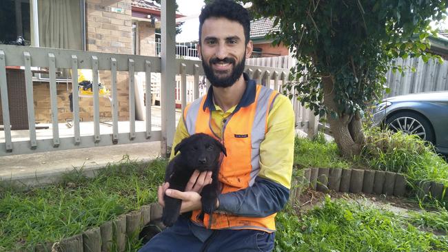 Mahzyar Farokhnejad has been reunited with his four puppies after they were stolen from his Thomastown backyard.