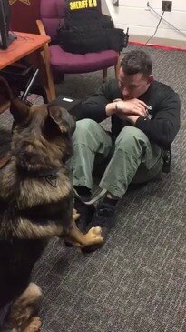 Pasco County K9 Helps Deputy Do Sit-Ups for #WorkoutWednesday