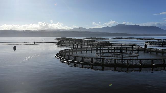 Salmon pens in Macquarie Harbour, on the state’s West Coast. Picture: MATHEW FARRELL