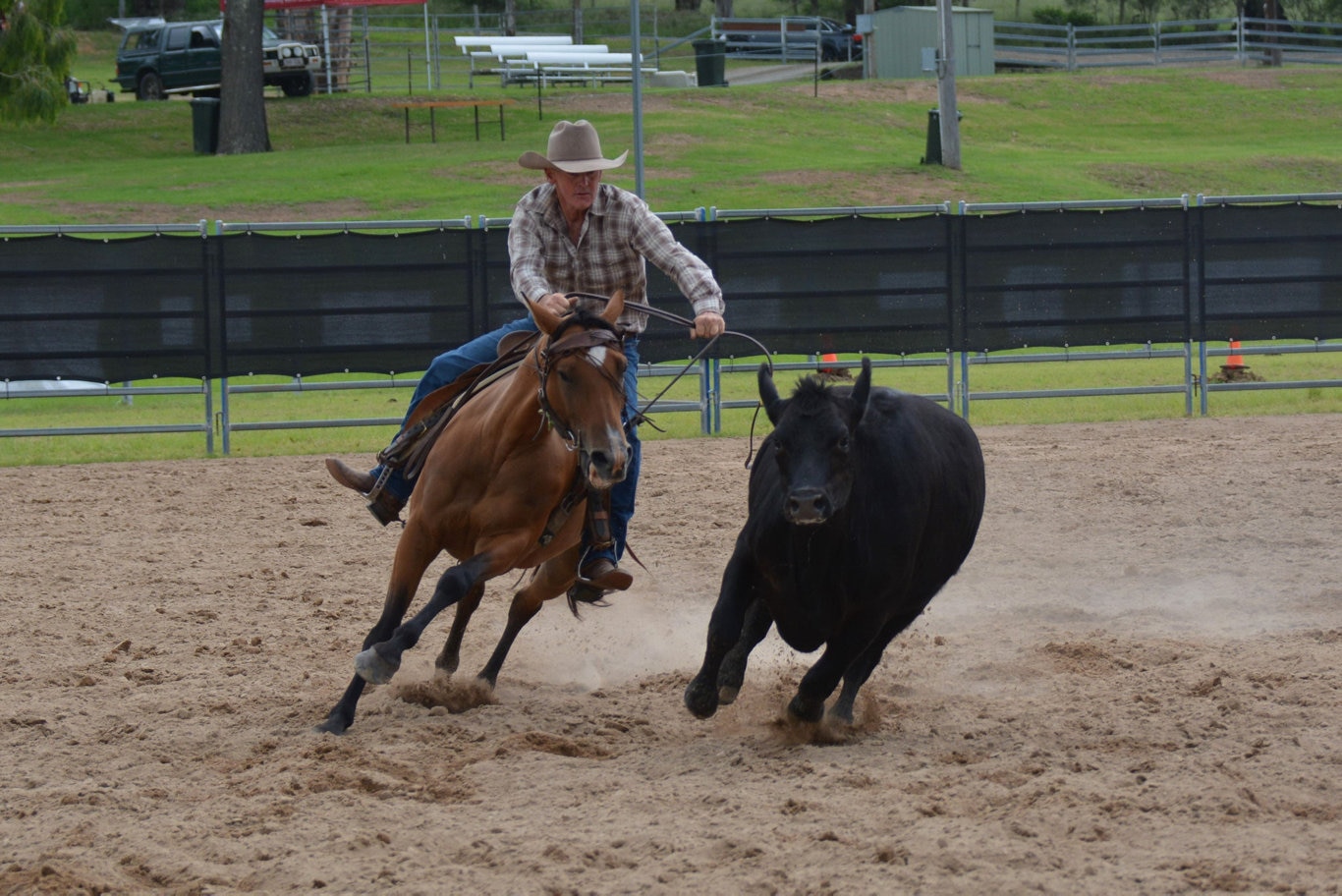 Damien Curr riding in the Cooyar Campdraft at the 71st annual Cooyar Show. Picture: Kate McCormack