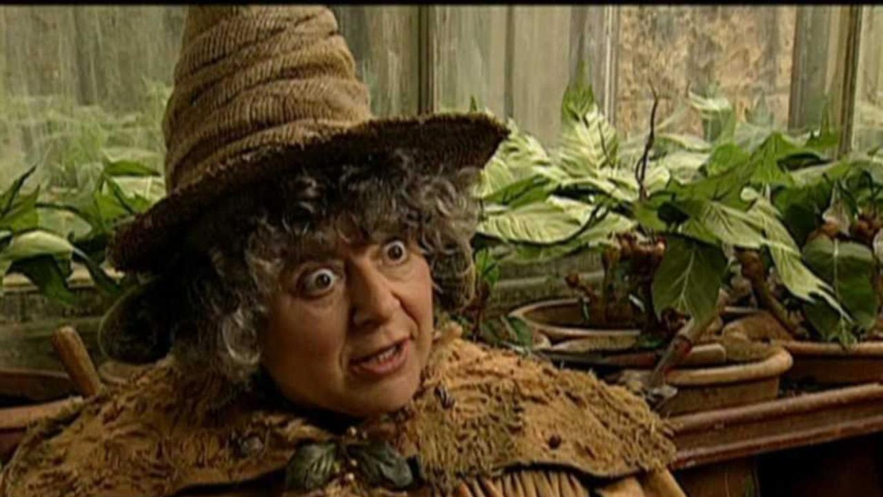 Harry Potter Star, Miriam Margolyes, Opens Up On Major Heart Surgery ...