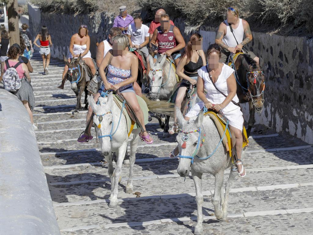 Donkey rides are a popular activity on the Greek island of Santorini. Picture: Caters News Agency