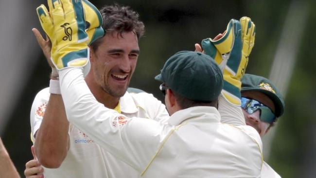 Tim Paine must be happy that Mitchell Starc is back in business