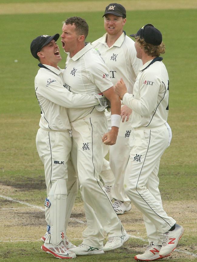 A fired up Peter Siddle celebrates with his teammates after taking a wicket.