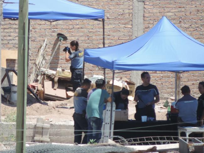 Police investigate the compound where the bodies of Australian professor Lily Pereg and her sister, Pyrhia Sarusi, were found in Mendoza, Argentina