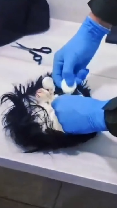 Man caught wearing wig hiding over $16,000 of cocaine