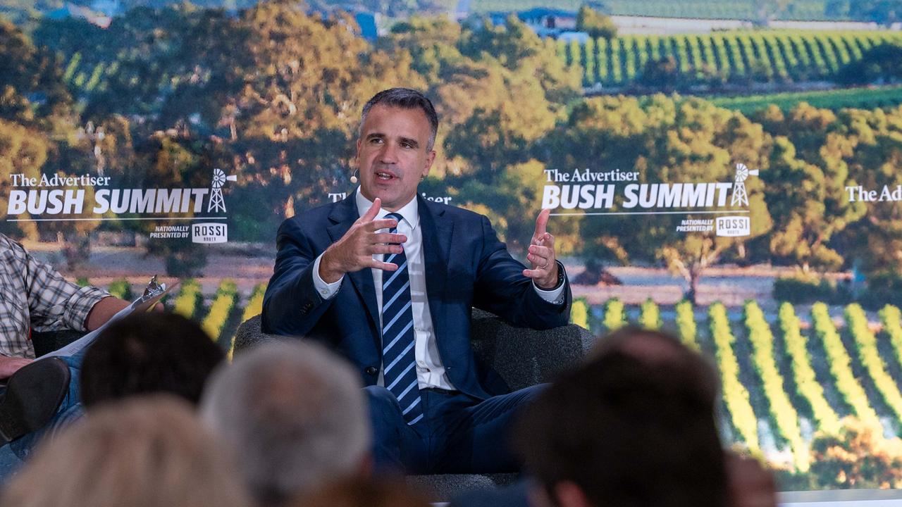 Premier Peter Malinauskas speaks at the Bush Summit event at Serafino Wines. Photo: Naomi Jellicoe