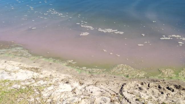 Tallebudgera resident Tanya Frogley snapped photos showing the pink water and green blobs on the sand at Rio Barracuda park, which links up to the popular Tallebudgera Creek swimming spot. Picture: Supplied