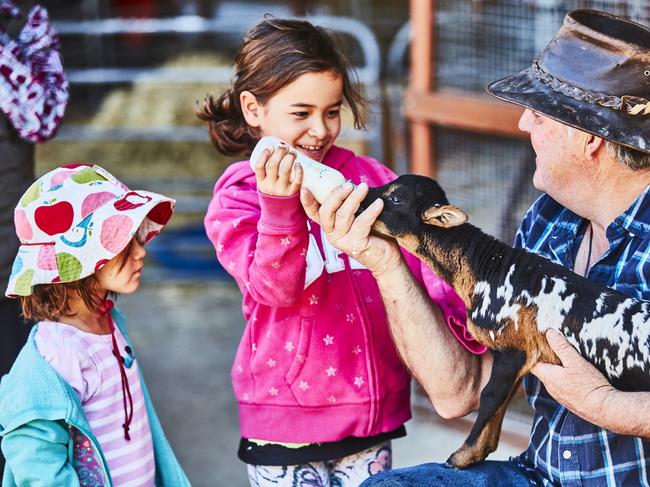 Victoria’s Royal Melbourne Show now has more firsts, more to do and more to see than ever before.