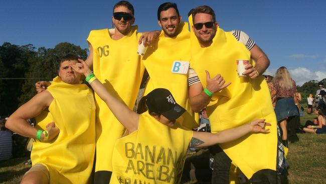 Big Pineapple Music Festival, 2018: What's a music festival without bananas?