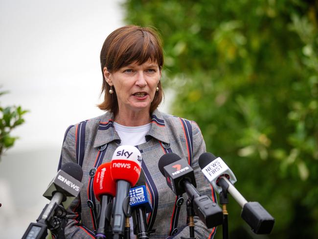 Victorian Agriculture Minister Mary Anne Thomas. Picture: Mark Stewart