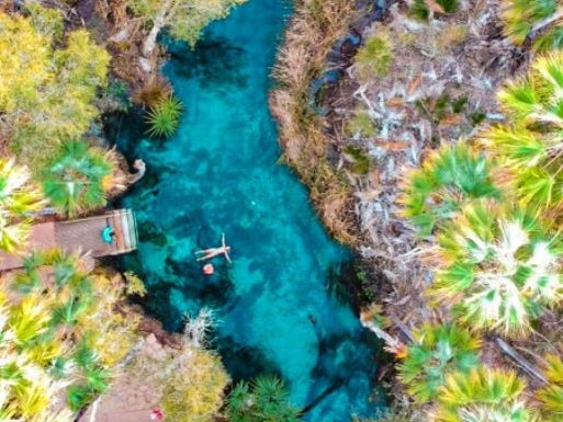 The Bitter Springs in Mataranka in the Northern Territory.