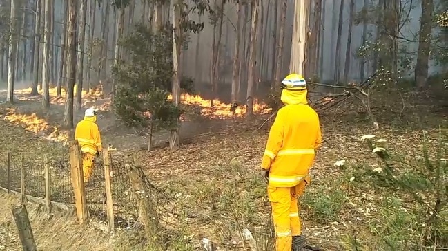 TFS Firefighters putting in a containment line off Donnelleys Rd about 6km north of Geeveston.