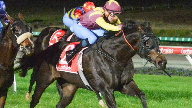 Bodhisattva can improve on his breakthrough maiden win when he steps up in class at Cranbourne on Friday night. Picture: Racing Photos via Getty Images.