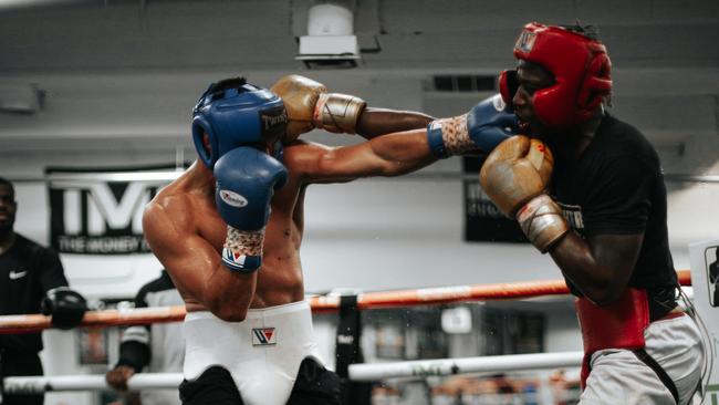 Tim Tszyu lands a blow on Kevin Johnson during their sparring session at the Mayweather Gym. Photo courtesy of TMT.