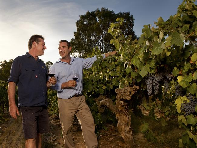 Langmeil Freedom Shiraz Vines, Barossa Valley. Langmeil proprietors Paul (l) and James Lindner.