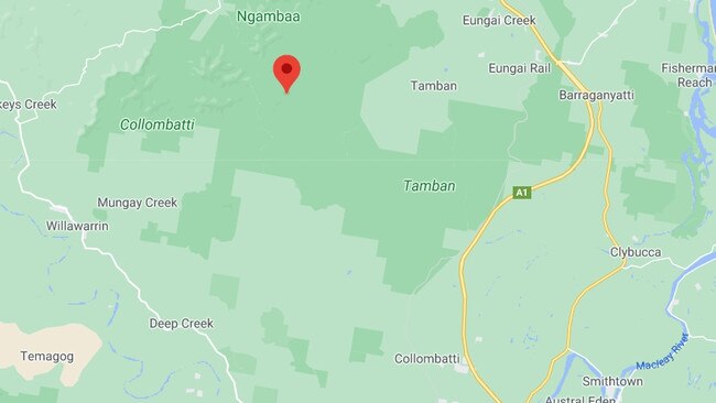 Wittigs Rd, Tamban State Forest