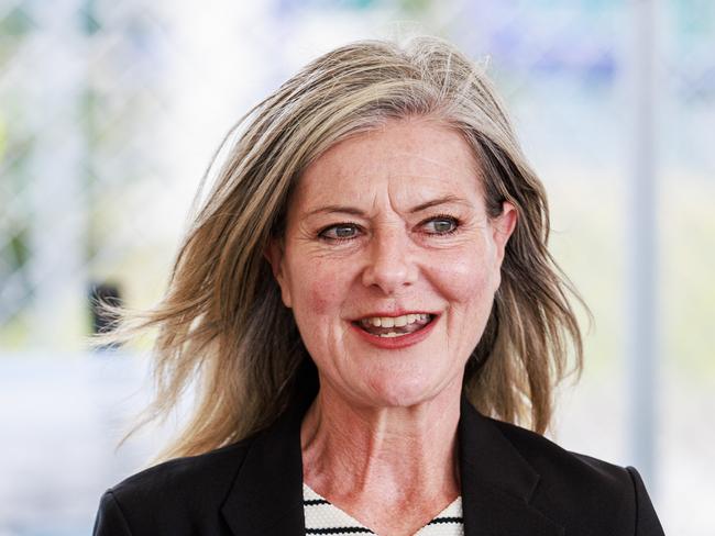 MELBOURNE, AUSTRALIA - Newswire Photos November 6, 2024: Minister for Planning Sonya Kilkenny during a press conference at the site of the Gurner Group new development in Docklands called Elysium Fields. Picture: NewsWire / Aaron Francis