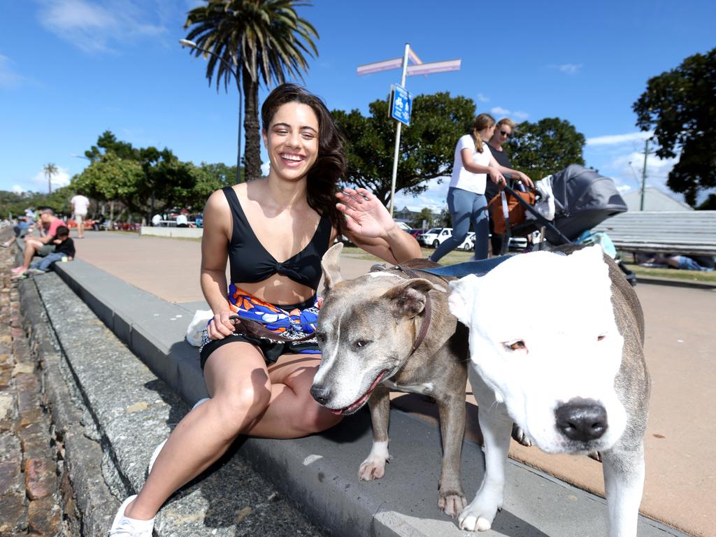 Betty Harrison with pups Sapphira and Kelsey, from Fortitude Valley at Sandgate Beach. Picture: Steve Pohlner