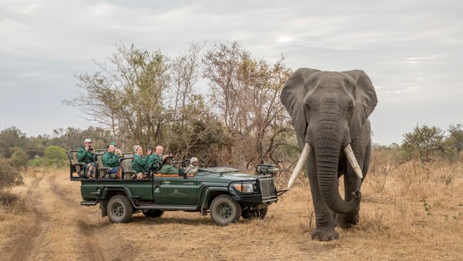 One thing you want to leave behind on safari | escape.com.au