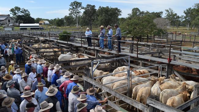 BIGGENDEN SALE: Taking some precautions with the COVID-19 virus it's all systems go with Monday's cattle sale.