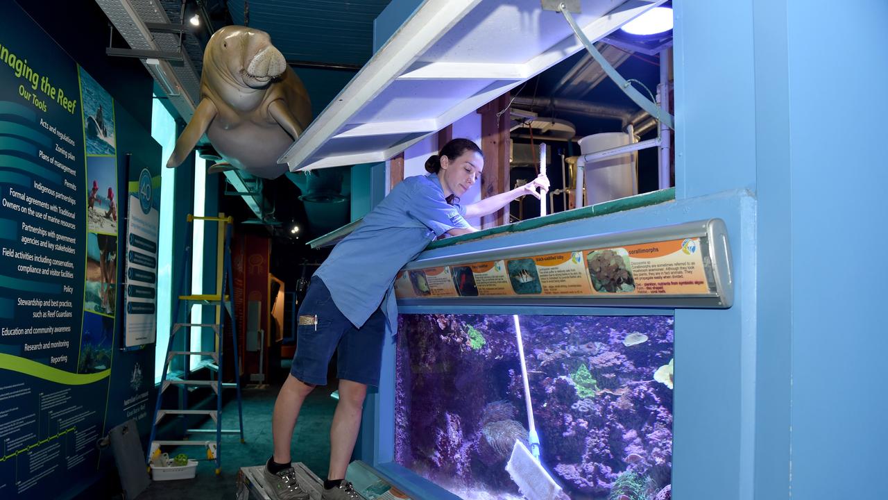 Behind the scenes at Reef HQ. Aquarist Kathy Connellan cleans the glass in the Reef Crest Tank. Picture: Evan Morgan