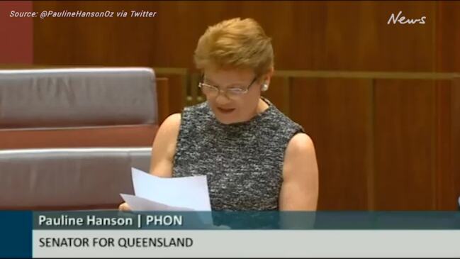 Pauline Hanson slams Pay The Rent initiative