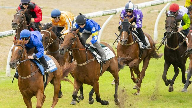 Pandemic salutes during barrier trials at Royal Randwick on January 9. Picture: Getty Images