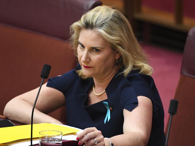 Liberal senator Hollie Hughes has hit out at MPs who framed childcare as a ‘women’s issue’. Picture: Lukas Coch / AAP Image