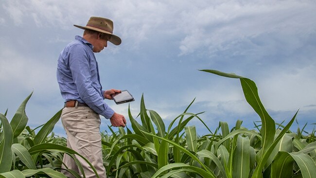 DataFarming founder Tim Neale.