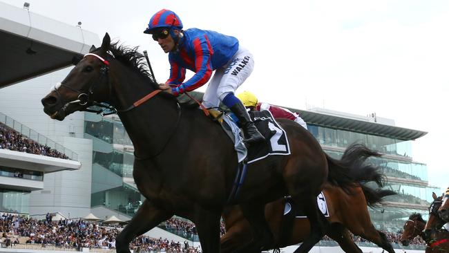 Prince Of Arran will return for another crack at the Melbourne Cup. Picture: Getty Images