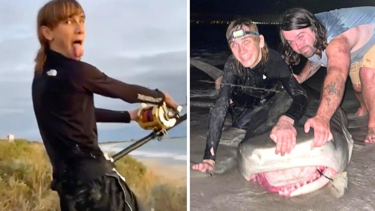 Australian fisherman reels in huge tiger shark in WA