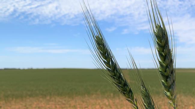 Drought-ravaged farmers will receive interest-free loans from the government under a new package from Scott Morrison.