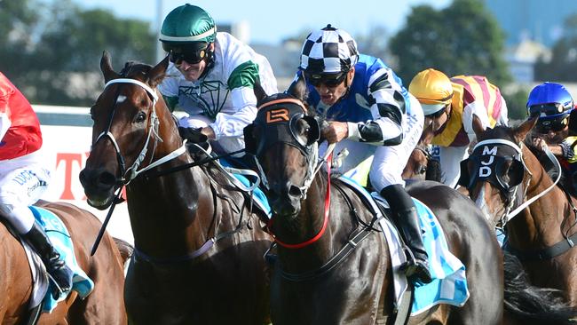 Damian Browne on Star Reflection (right) trying to steer his mount away from Auerbach (Jeff Lloyd) at the Gold Coast. Picture: Trackside Photography