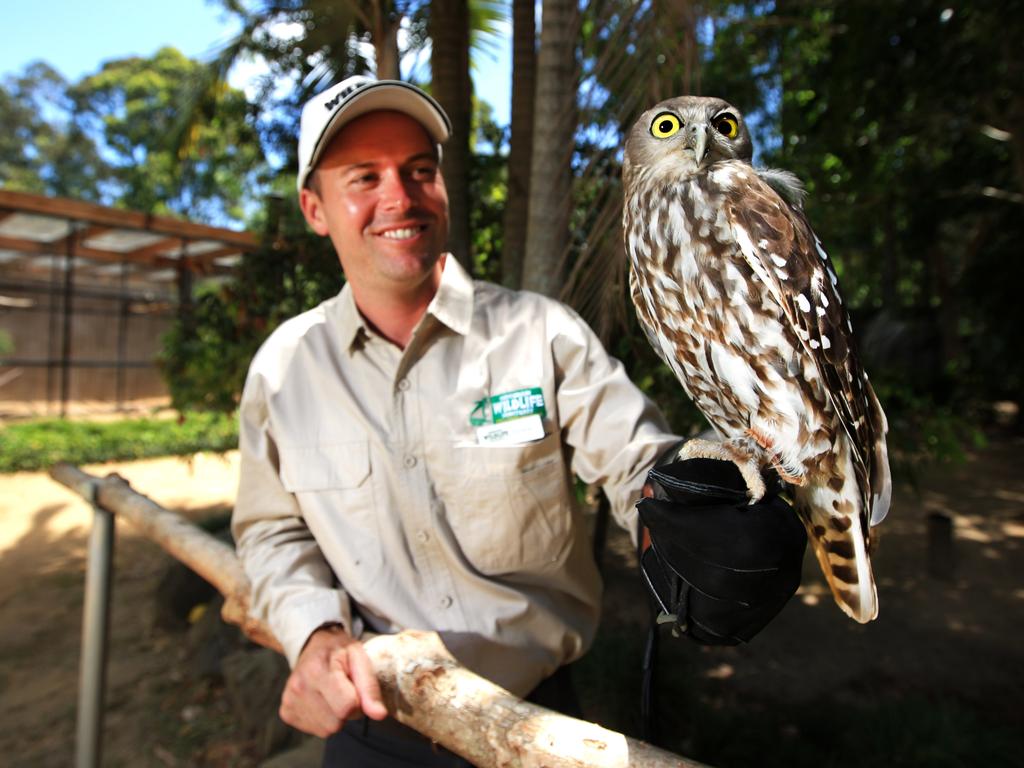 Currumbin Wildlife Sanctuary When It Unveils Its New Free Flight Bird 