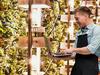 Legal weed: Would it supercharge SA’s economy?