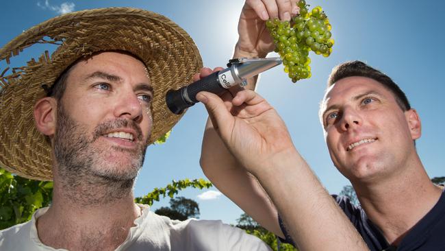 Liam and Matthew’s winemaking earned them a place in the Young Gun of Wine awards top 50 this year. Picture Jay Town.