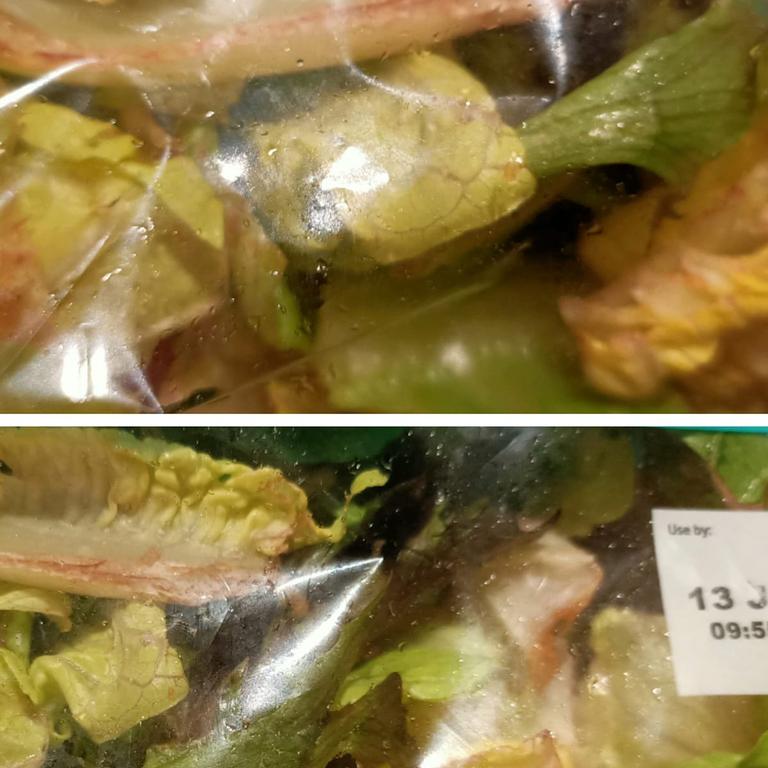 Elke Shantelle was not impressed when she received this bag of wilted lettuce with her delivery order.